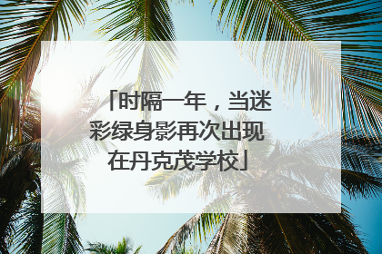 时隔一年，当迷彩绿身影再次出现在丹克茂学校