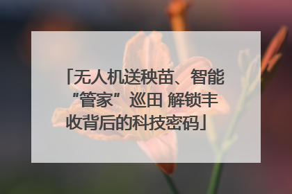 无人机送秧苗、智能“管家”巡田 解锁丰收背后的科技密码