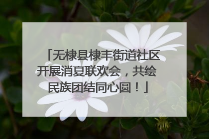 无棣县棣丰街道社区开展消夏联欢会，共绘民族团结同心圆！