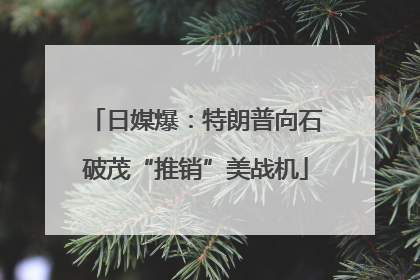日媒爆：特朗普向石破茂“推销”美战机