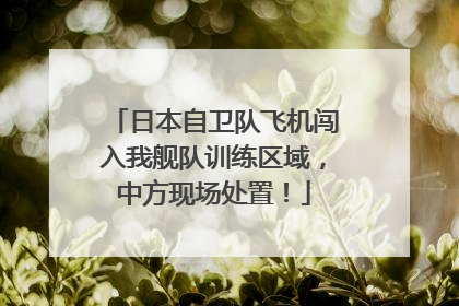 日本自卫队飞机闯入我舰队训练区域，中方现场处置！