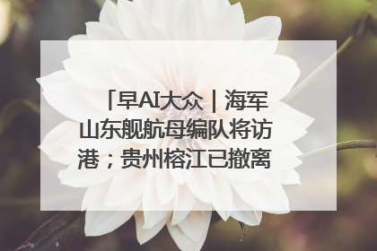 早AI大众｜海军山东舰航母编队将访港；贵州榕江已撤离转移群众超4万人