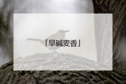 旱碱麦香