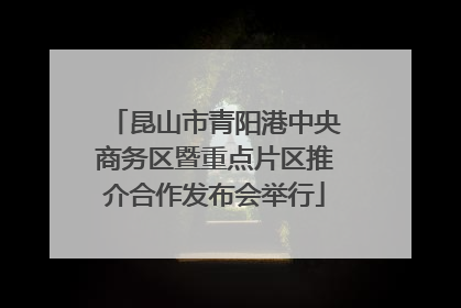 昆山市青阳港中央商务区暨重点片区推介合作发布会举行