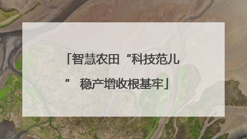 智慧农田“科技范儿” 稳产增收根基牢