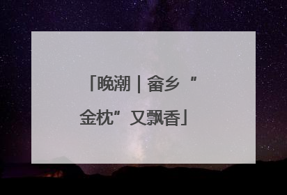 晚潮｜畲乡“金枕”又飘香