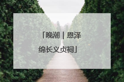 晚潮｜恩泽绵长义贞祠