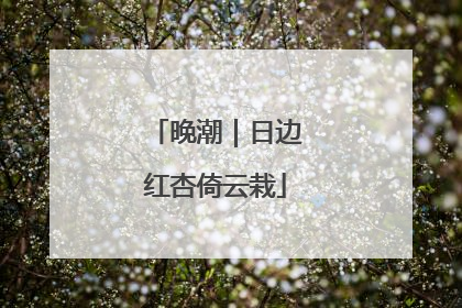 晚潮｜日边红杏倚云栽