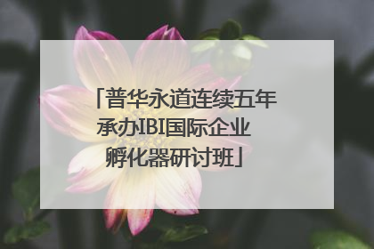 普华永道连续五年承办IBI国际企业孵化器研讨班