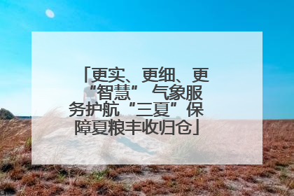 更实、更细、更“智慧” 气象服务护航“三夏”保障夏粮丰收归仓