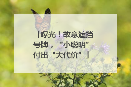 曝光！故意遮挡号牌，“小聪明”付出“大代价”