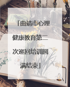 曲靖市心理健康教育第二次巡回培训圆满结束