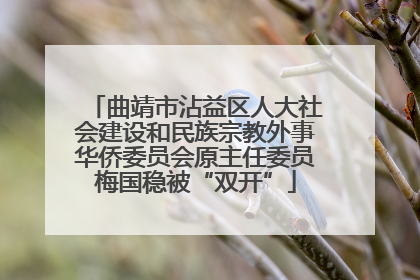 曲靖市沾益区人大社会建设和民族宗教外事华侨委员会原主任委员梅国稳被“双开”
