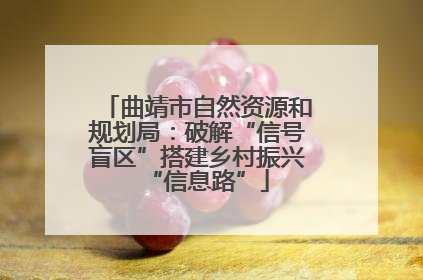 曲靖市自然资源和规划局：破解“信号盲区”搭建乡村振兴“信息路”