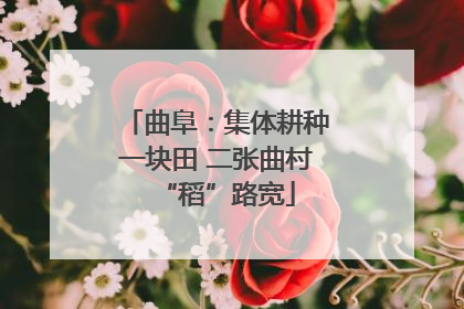曲阜：集体耕种一块田 二张曲村“稻”路宽