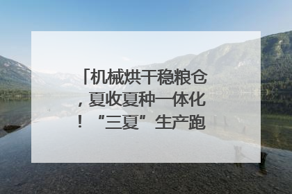 机械烘干稳粮仓，夏收夏种一体化！“三夏”生产跑出加速度｜麦报