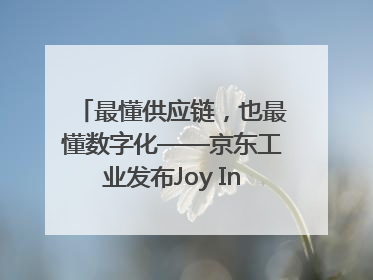最懂供应链，也最懂数字化——京东工业发布Joy Industrial 重塑工业未来