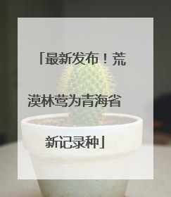 最新发布！荒漠林莺为青海省新记录种