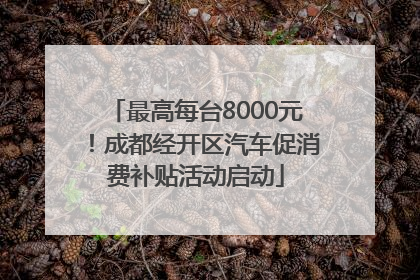 最高每台8000元！成都经开区汽车促消费补贴活动启动