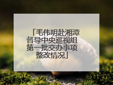 毛伟明赴湘潭督导中央巡视组第一批交办事项整改情况