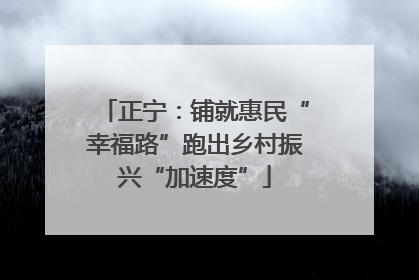正宁：铺就惠民“幸福路”跑出乡村振兴“加速度”