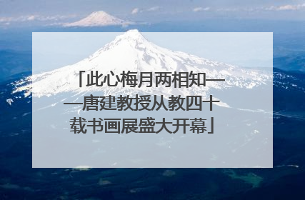 此心梅月两相知——唐建教授从教四十载书画展盛大开幕