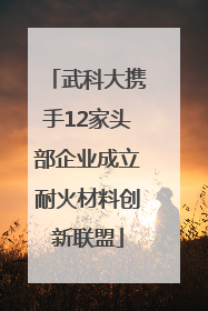 武科大携手12家头部企业成立耐火材料创新联盟