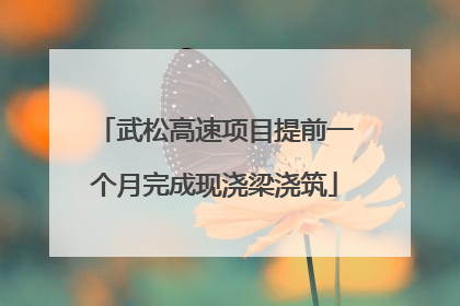 武松高速项目提前一个月完成现浇梁浇筑