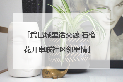 武昌城里话交融 石榴花开串联社区邻里情