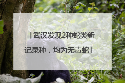 武汉发现2种蛇类新记录种，均为无毒蛇