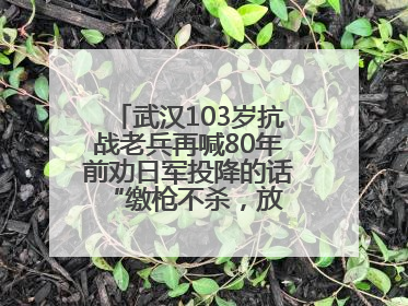 武汉103岁抗战老兵再喊80年前劝日军投降的话 “缴枪不杀，放你回家”
