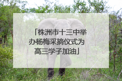 株洲市十三中举办杨梅采摘仪式为高三学子加油