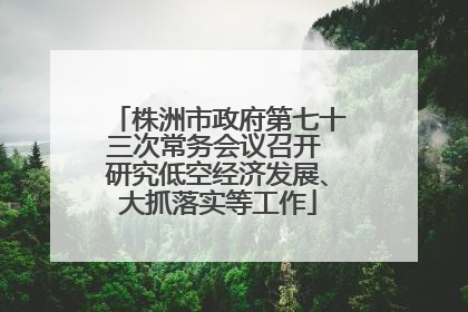 株洲市政府第七十三次常务会议召开 研究低空经济发展、大抓落实等工作