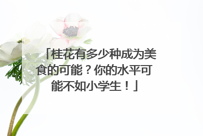 桂花有多少种成为美食的可能？你的水平可能不如小学生！