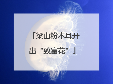 梁山粉木耳开出“致富花”