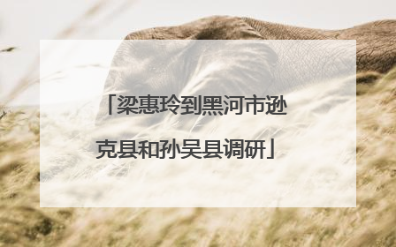 梁惠玲到黑河市逊克县和孙吴县调研