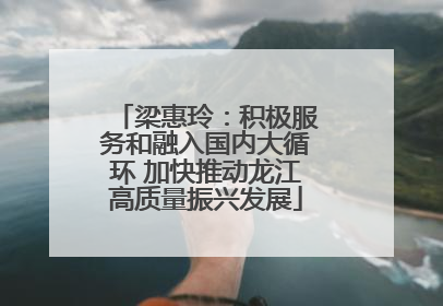 梁惠玲：积极服务和融入国内大循环 加快推动龙江高质量振兴发展