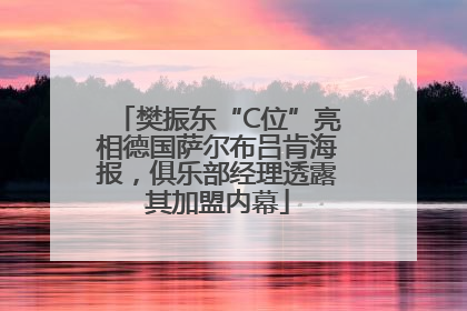 樊振东“C位”亮相德国萨尔布吕肯海报，俱乐部经理透露其加盟内幕
