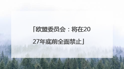 欧盟委员会：将在2027年底前全面禁止