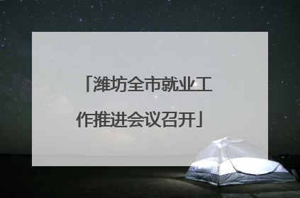 潍坊全市就业工作推进会议召开