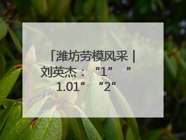 潍坊劳模风采｜刘英杰：“1”“1.01”“2”背后的奋斗密码