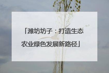 潍坊坊子：打造生态农业绿色发展新路径