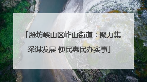 潍坊峡山区岞山街道：聚力集采谋发展 便民惠民办实事
