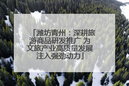 潍坊青州：深耕旅游商品研发推广 为文旅产业高质量发展注入强劲动力