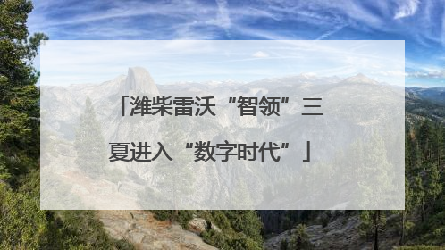潍柴雷沃“智领”三夏进入“数字时代”