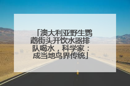 澳大利亚野生鹦鹉街头开饮水器排队喝水，科学家：成当地鸟界传统