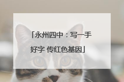 永州四中：写一手好字 传红色基因