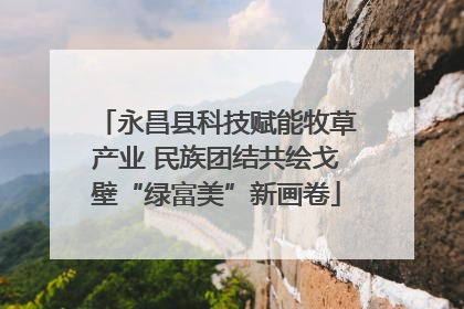 永昌县科技赋能牧草产业 民族团结共绘戈壁“绿富美”新画卷