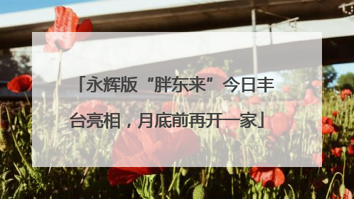 永辉版“胖东来”今日丰台亮相，月底前再开一家