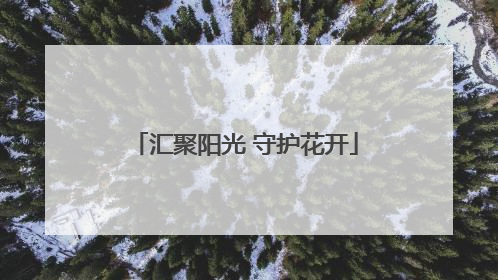 汇聚阳光 守护花开